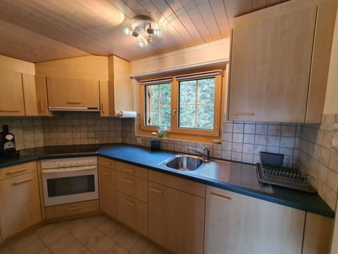 Cabinetry, Countertop, Kitchen Sink, Tap, Sink, Property, Kitchen, Wood, Plumbing Fixture, Lighting