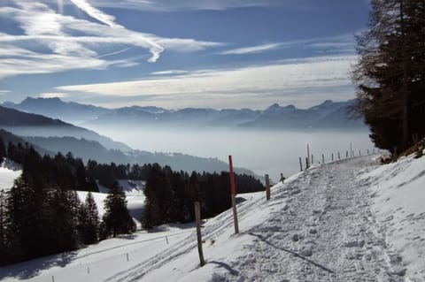 Surroundings [winter] (1-5 km)