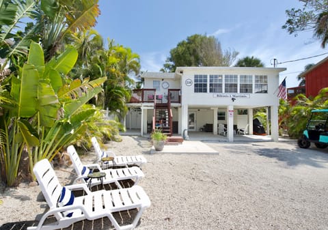 Bikinis and Martinis