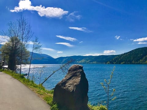 Ferienhaus Alexander - Ferienhaus Austria Chalet in Carinthia, Austria