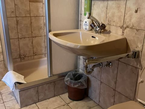 Einzelzimmer 8, WC, Dusche - Hotel-gasthof Lammersdorf Bed and Breakfast in Spittal an der Drau