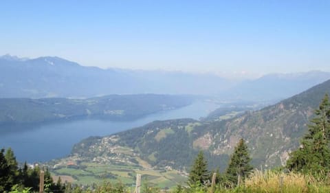 Fewo Steinwender - Ferienwohnung Apartment in Carinthia, Austria