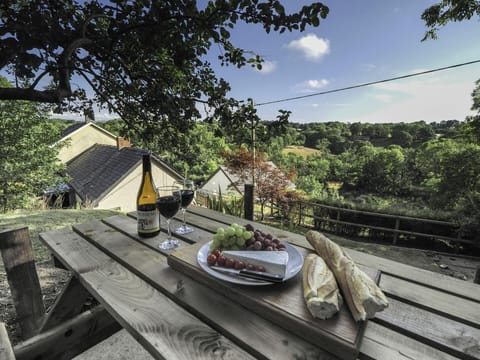 Picnic table laid with grapes, wine, French stick and cheese