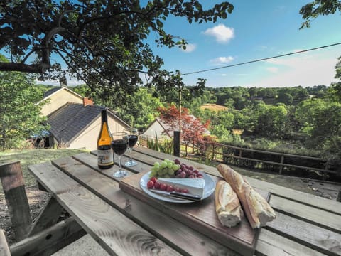 Picnic table laid with grapes, wine, French stick and cheese