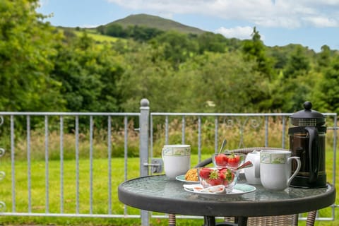 Outdoor seating area on the patio