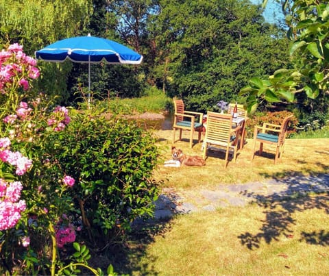 Table, four chairs and parasol in the grounds at Penwaun, surrounded by trees and shrubs