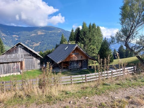Pichler-hütte am Laufenberg - Pichlerhütte Cabin in Carinthia, Austria