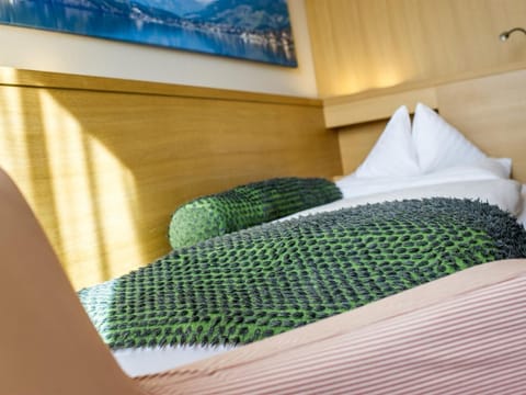 Einzelzimmer Deluxe Frühstück - Hotel Moserhof Bed and Breakfast in Spittal an der Drau