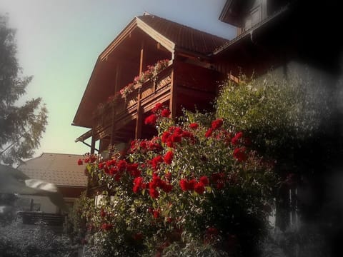 Fischerhaus - Appartement/fewo Direkt am See Apartment in Spittal an der Drau