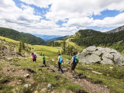 Landhaus Nockalm Top02 - Appartement/fewo, Dusche Oder Bad, WC, 2 Schlafräu Apartment in Carinthia, Austria