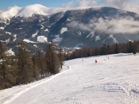 Landhaus Nockalm Top02 - Appartement/fewo, Dusche Oder Bad, WC, 2 Schlafräu Apartment in Carinthia, Austria