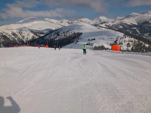 Landhaus Nockalm Top02 - Appartement/fewo, Dusche Oder Bad, WC, 2 Schlafräu Apartment in Carinthia, Austria
