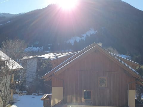 Appartement Liisa, Österreich Apartment in Carinthia, Austria