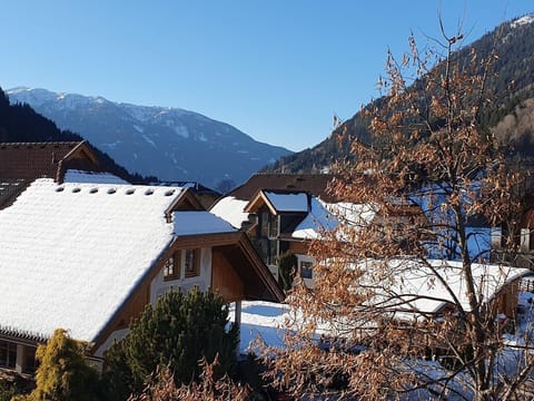 Appartement Liisa, Österreich Apartment in Carinthia, Austria