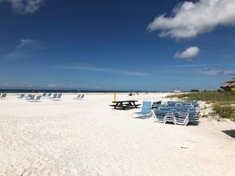 beach chairs on beach