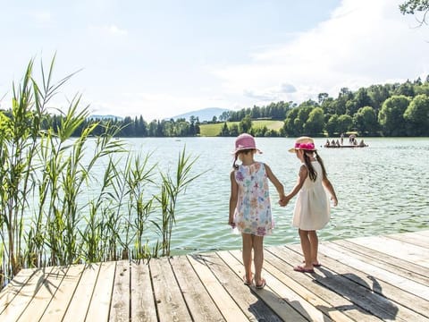 Haus Krainz - Appartement/fewo, Dusche und Bad, WC, Terrasse Apartment in Carinthia, Austria