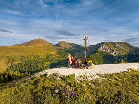 Haus Krainz - Appartement/fewo, Dusche und Bad, WC, Terrasse Apartment in Carinthia, Austria