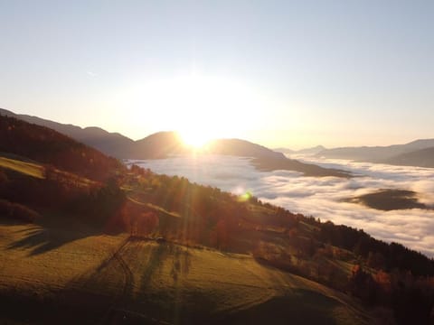 Double room Morgentau - Bauernhof Stauder Farm Stay in Carinthia, Austria