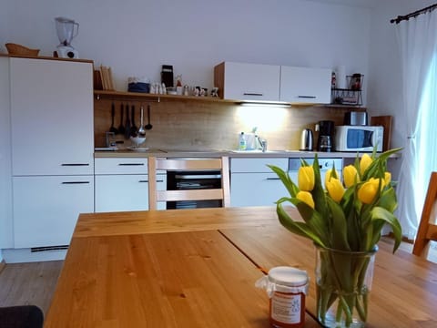 Ferienhaus Ranch mit Seeblick - Bauernhof Stauder Farm Stay in Carinthia, Austria