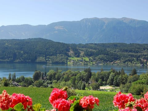 DZ 10 - Hühnersberg - Pension Guggenbichler Farm Stay in Carinthia, Austria