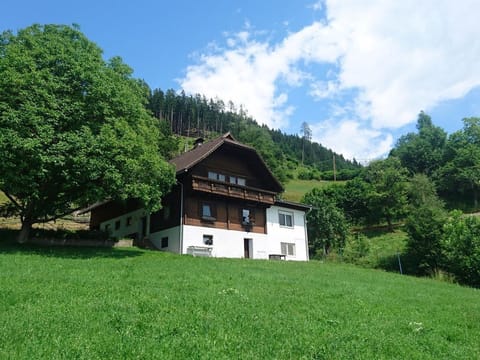 Apartment in the countryside - apartment/flat, separate toilet and bath/shower Apartment in Carinthia, Austria