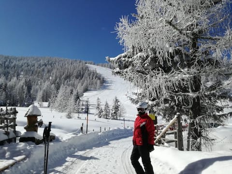 Marktlhütte, Österreich Cabin in Carinthia, Austria
