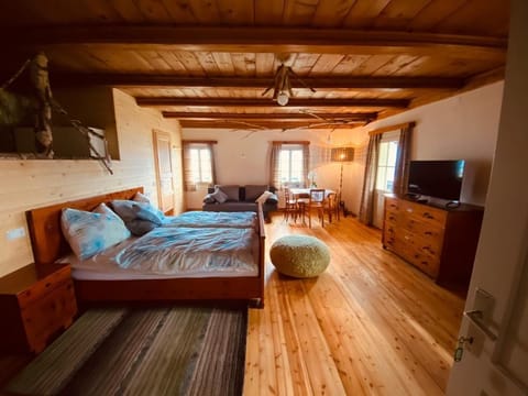 Fürstenzimmer - Marhube Apartment in Carinthia, Austria