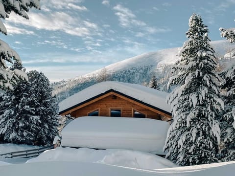 Heidi Chalet Almsommer - Heidi Chalets Falkertsee Chalet in Carinthia, Austria