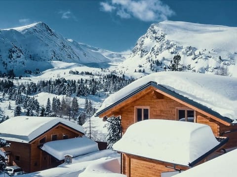 Heidi Chalets Bergwinter - Heidi Chalets Falkertsee Chalet in Carinthia, Austria