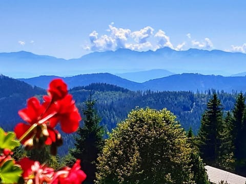 Almhaus Inge - Appartement/fewo, Bad, WC, Ruhig Apartment in Carinthia, Austria