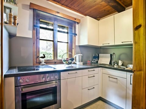 Seehaus C - Waldstrand Berger Apartment in Spittal an der Drau