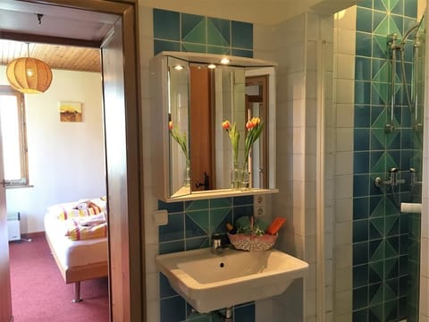 Seehaus B - Waldstrand Berger Apartment in Spittal an der Drau