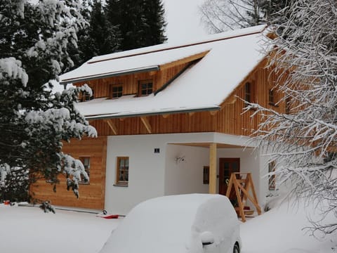 Haus Sabine, Österreich Chalet in Carinthia, Austria