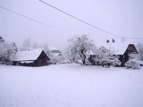 Kleine Ferienwohnung für Familie - Bartlbauerhof Farm Stay in Carinthia, Austria