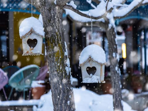 Dreibettzimmer mit Dusche Oder Bad/wc - Hotel Ertl Bed and Breakfast in Spittal an der Drau