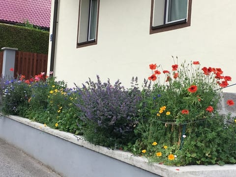 Ferienwohnung Bichl 1 1 - Bichl 1 Apartment in Carinthia, Austria