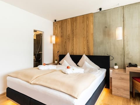 Double room Seensucht with XXL balcony - Villa Postillion am See House in Spittal an der Drau