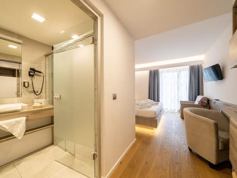 Appartement Riegenbach mit Balkon - Familienhotel Post-kinder&sport am Millstätter See House in Spittal an der Drau