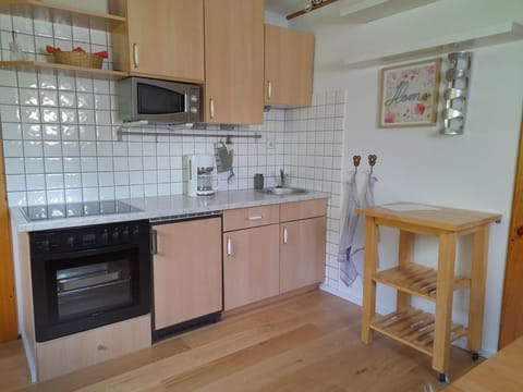 Appartement Alpenrose - Haus Hanshois Farm Stay in Carinthia, Austria