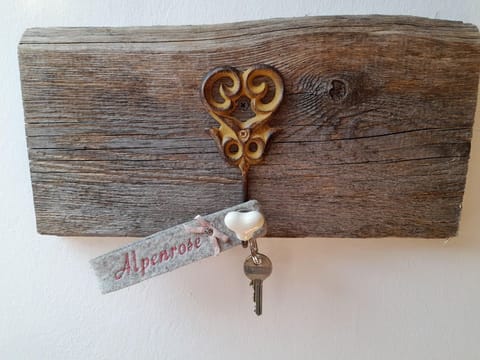 Appartement Alpenrose - Haus Hanshois Farm Stay in Carinthia, Austria