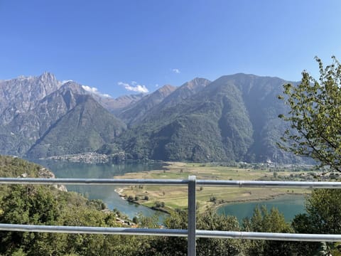 Water, Plant, Sky, Building, Swimming Pool, Tree, Azure, Window, Real Estate, Leisure