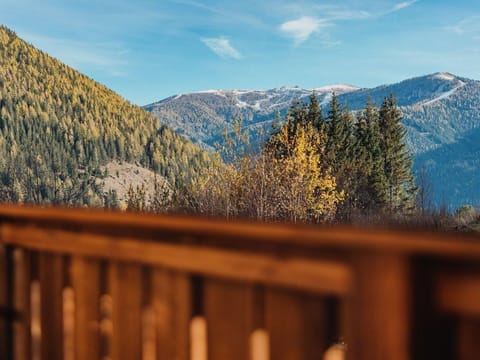 Appartement "föhre" - Chalet Tannalm Chalet in Carinthia, Austria