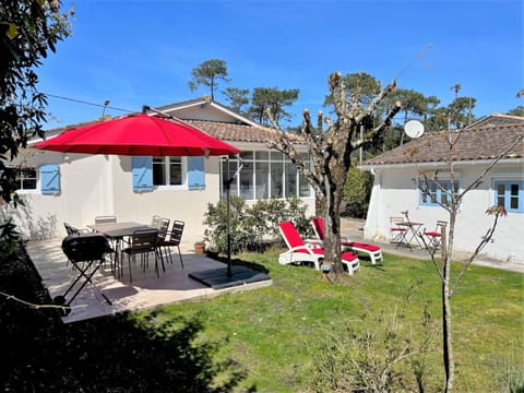 Sky, Property, Building, Plant, Window, Shade, Outdoor Furniture, Chair, Tree, House