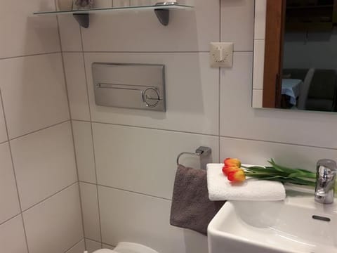 Einzelzimmer - Haus Franz Bed and Breakfast in Spittal an der Drau