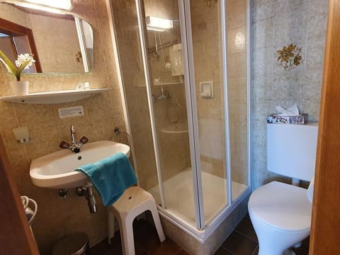 Einzelzimmer Gmeineckblick - Gästehaus Bärwald Bed and Breakfast in Spittal an der Drau