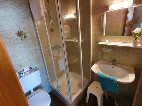 Einzelzimmer Tschiernockblick mit Balkon - Gästehaus Bärwald Bed and Breakfast in Spittal an der Drau