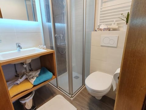 Doppelzimmer Reißeck mit Indirektem Balkon - Gästehaus Bärwald Bed and Breakfast in Spittal an der Drau