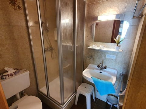 Kleines Doppelzimmer Alleeblick mit Balkon - Gästehaus Bärwald Bed and Breakfast in Spittal an der Drau