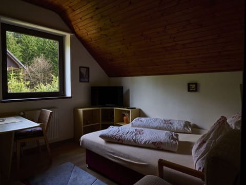 Furniture, Property, Building, Window, Comfort, Table, Wood, Plant, Architecture