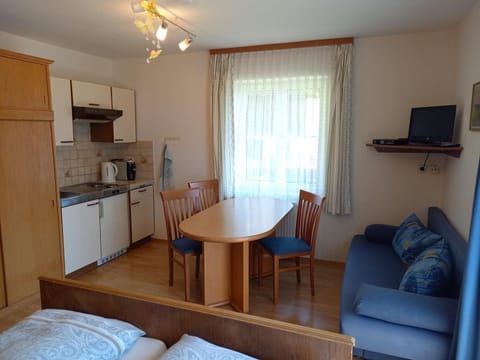 Studio für 2-3 Personen - Tischnerhof Appartements Farm Stay in Carinthia, Austria